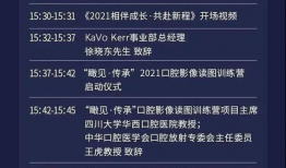 s91直播,精彩瞬间回顾，带你领略电竞魅力